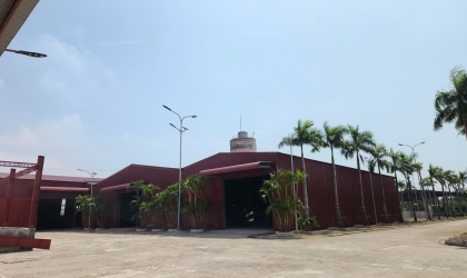Bột cá trong công thức thức ăn chăn nuôi: vai trò và lưu ý