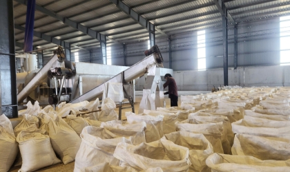 Truy xuất lô bột cá giúp doanh nghiệp kiểm soát rủi ro
