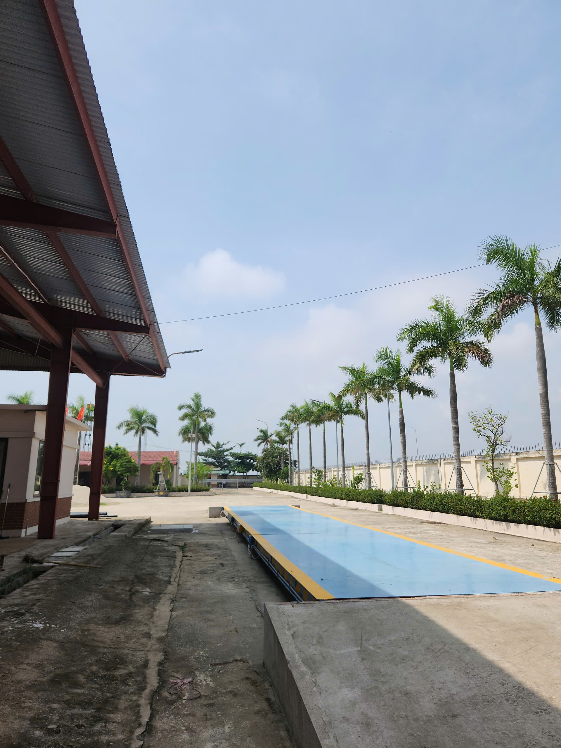 Bột cá cho thức ăn gia súc, gia cầm cần quan tâm gì?